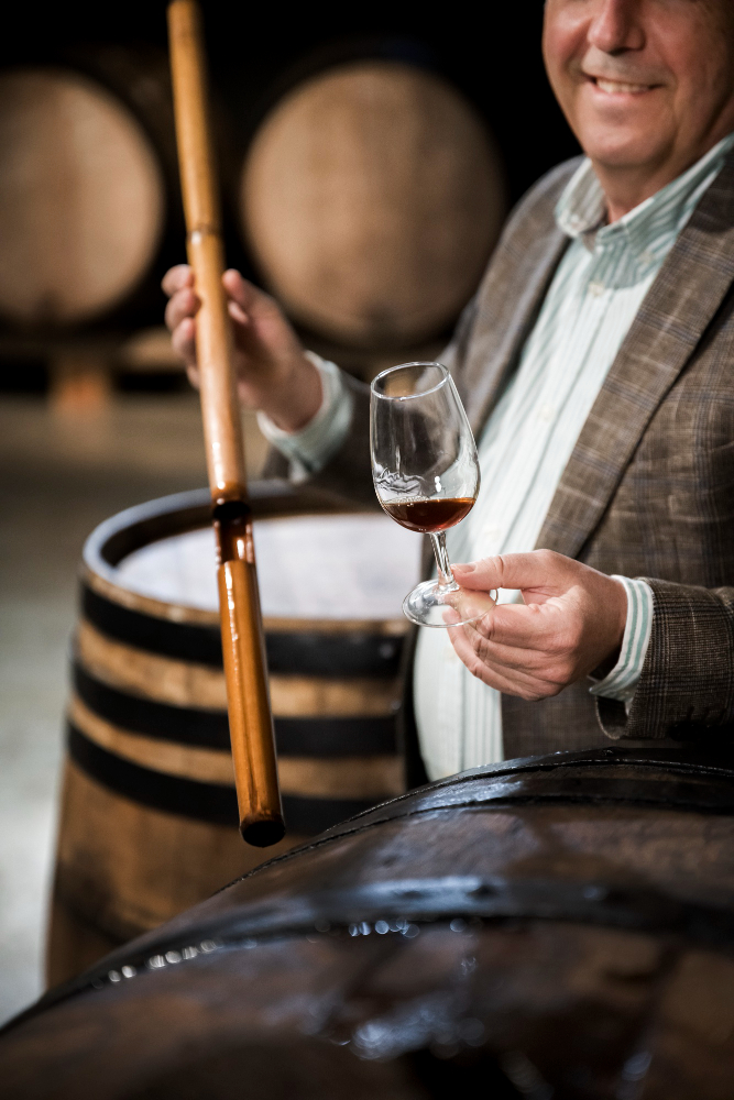 Diferença entre enólogo, sommelier e viticultor
